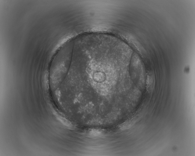 X0000116780684201001281654