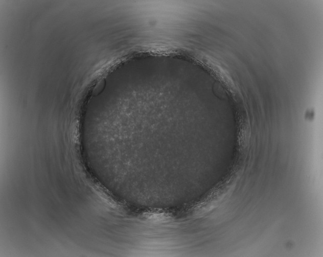 X0000116780689201001281654