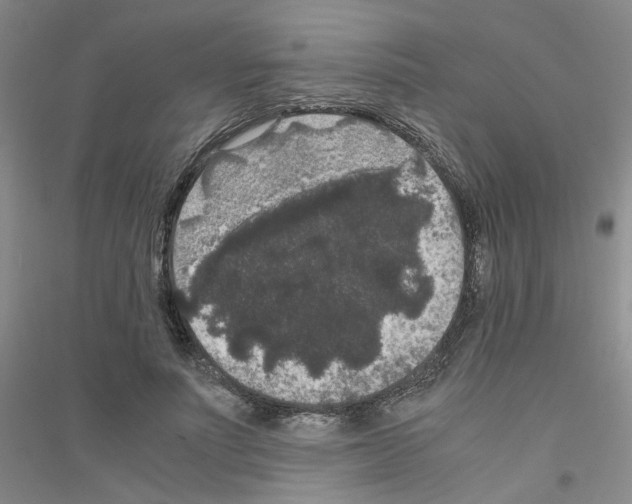 X0000116780691201001281654