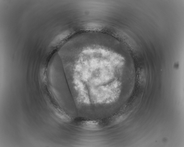 X0000116780692201001281654