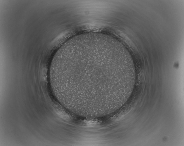 X0000116780693201001281654