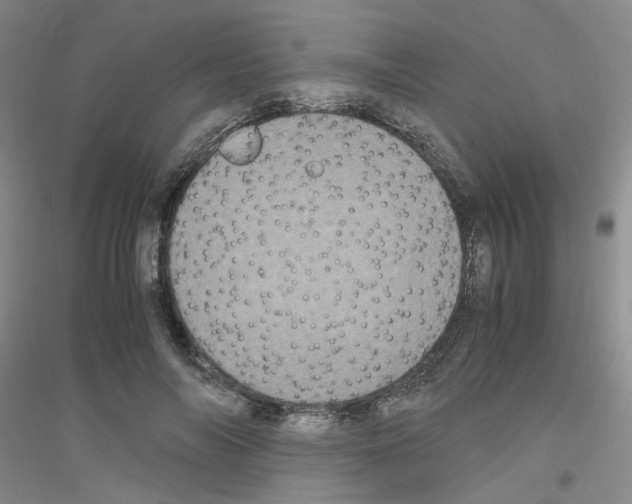 X0000116780694201001281654