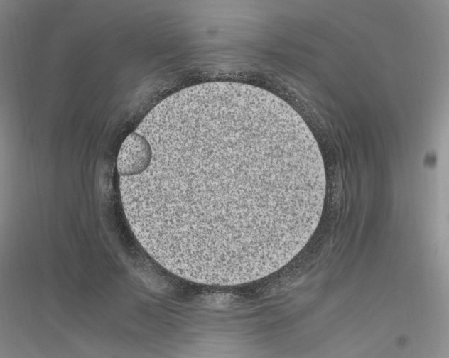 X0000116780695201001281654