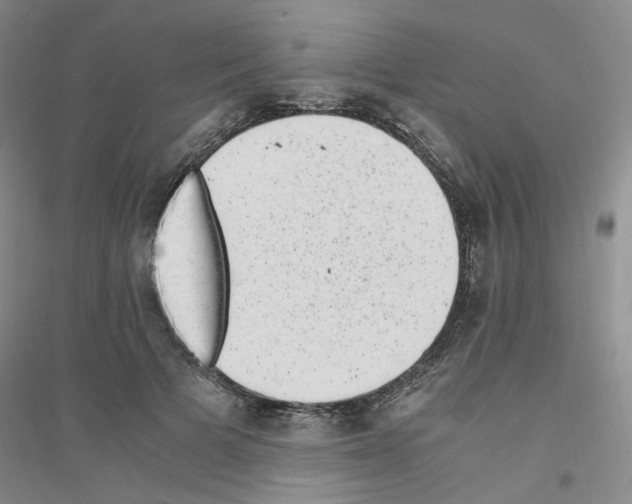 X0000116780697201001281654