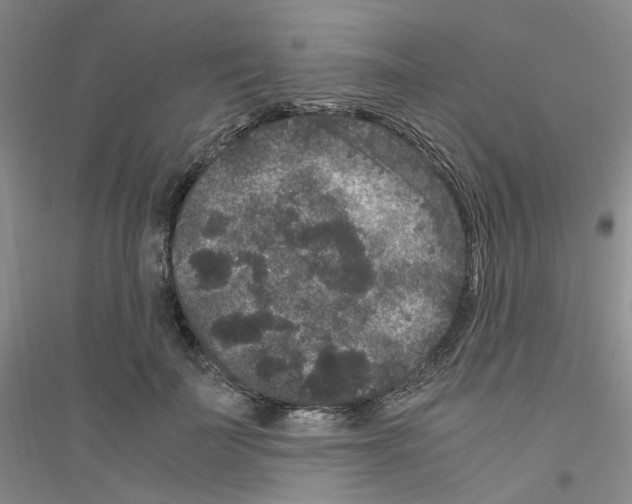 X0000116780699201001281654