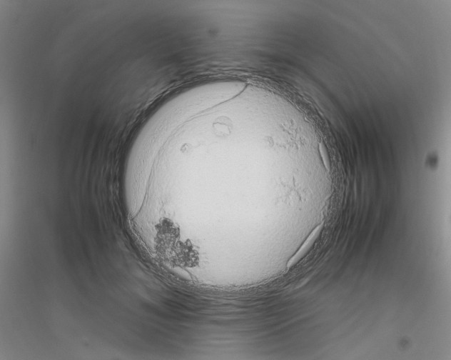 X0000116780700201001281654