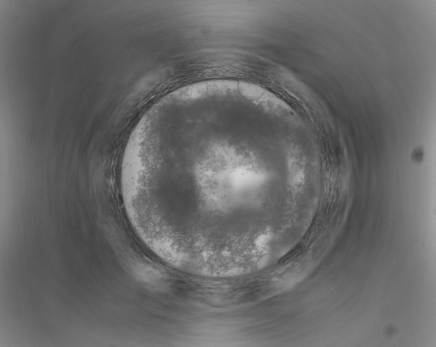 X0000116780701201001281654