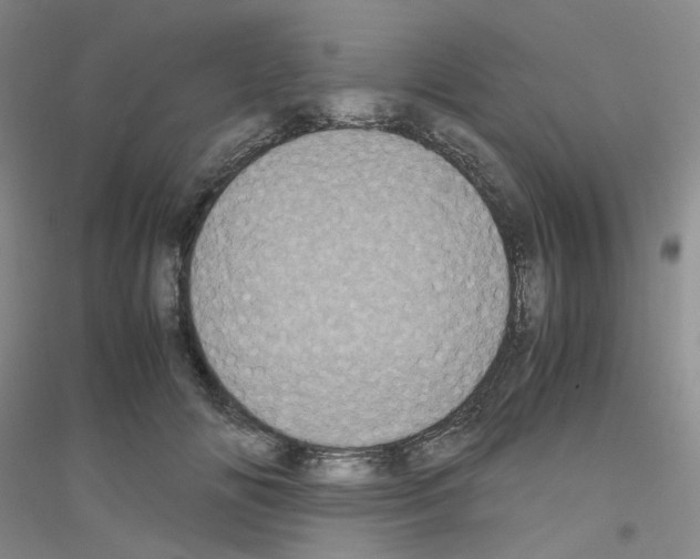 X0000116780702201001281654