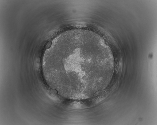 X0000116780704201001281654