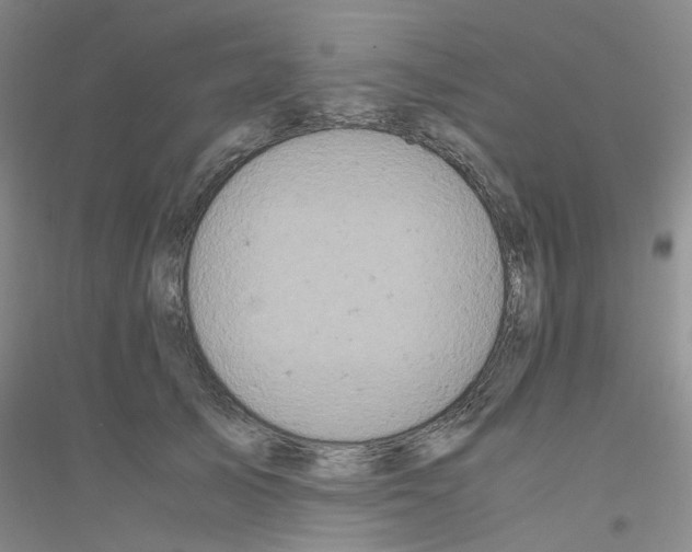 X0000116780705201001281654