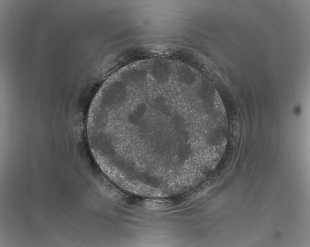 X0000116780707201001281654