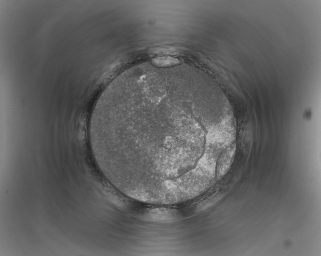 X0000116780708201001281654