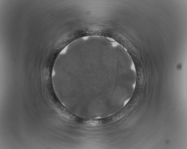 X0000116780711201001281654