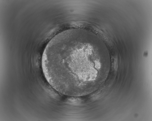 X0000116780712201001281654