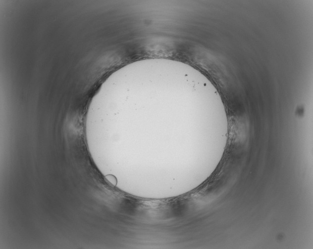 X0000116780713201001281654