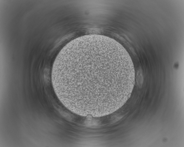 X0000116780714201001281654