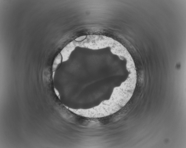 X0000116780715201001281654