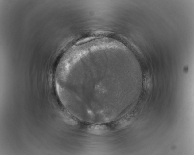 X0000116780716201001281654