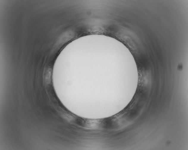 X0000116780717201001281654