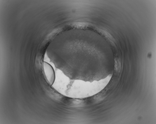 X0000116780718201001281654