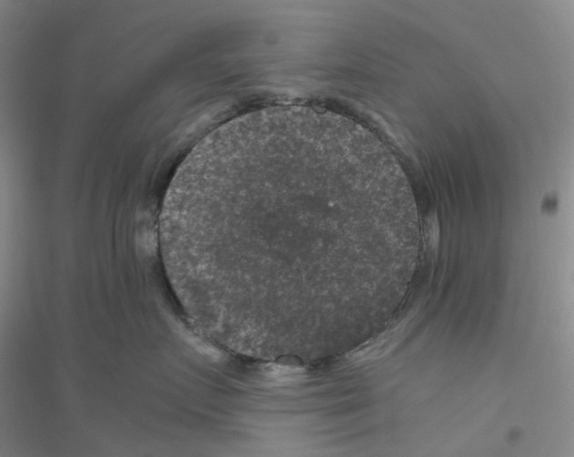 X0000116780719201001281654