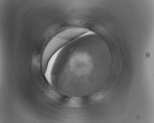 X0000116780720201001281654