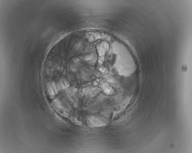 X0000116780721201001281653