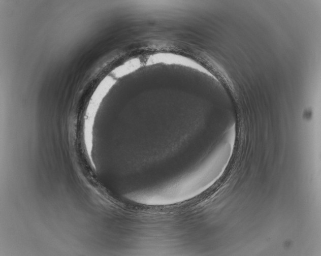 X0000116780722201001281653