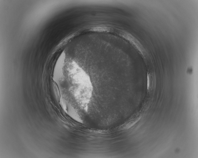 X0000116780723201001281653