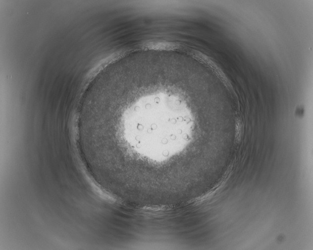 X0000116780725201001281653