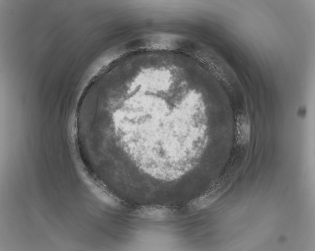 X0000116780726201001281653