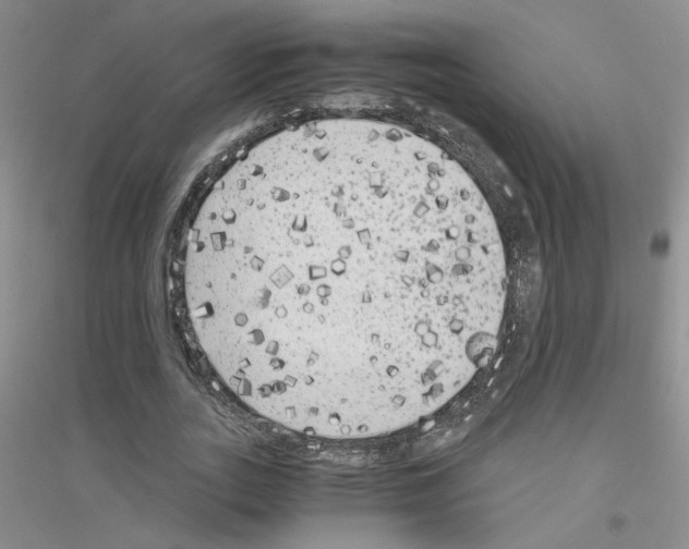 X0000116780727201001281653