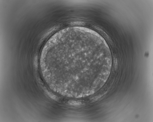 X0000116780729201001281653