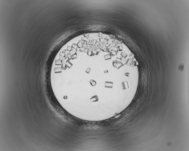 X0000116780730201001281653