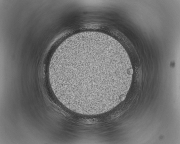 X0000116780731201001281653