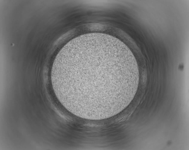 X0000116780733201001281653