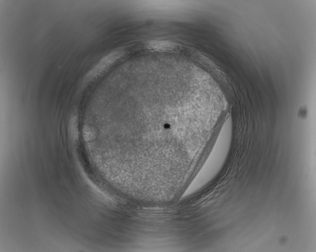 X0000116780734201001281653