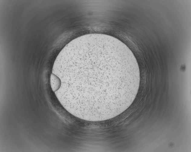 X0000116780738201001281653