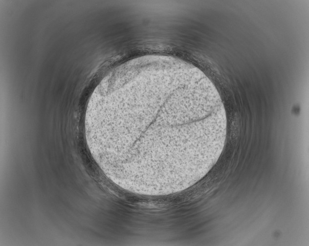 X0000116780739201001281653