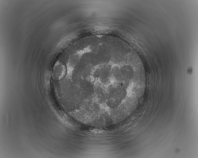 X0000116780742201001281653