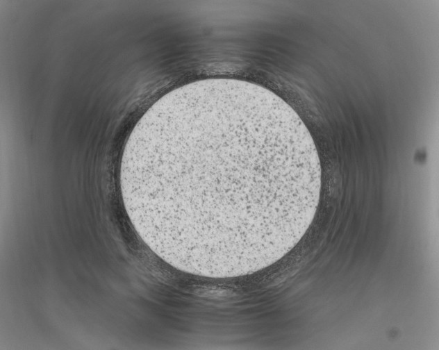 X0000116780743201001281653