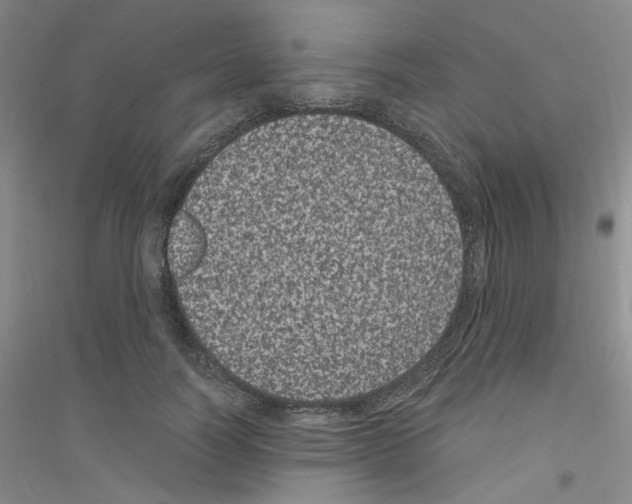 X0000116780746201001281654