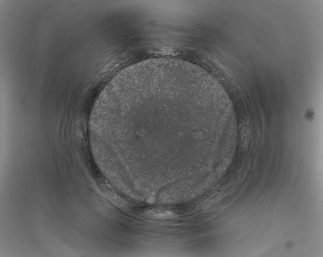 X0000116780747201001281654