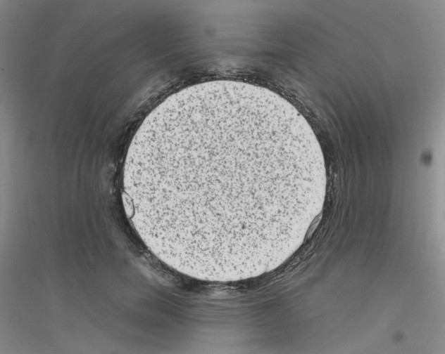 X0000116780750201001281654