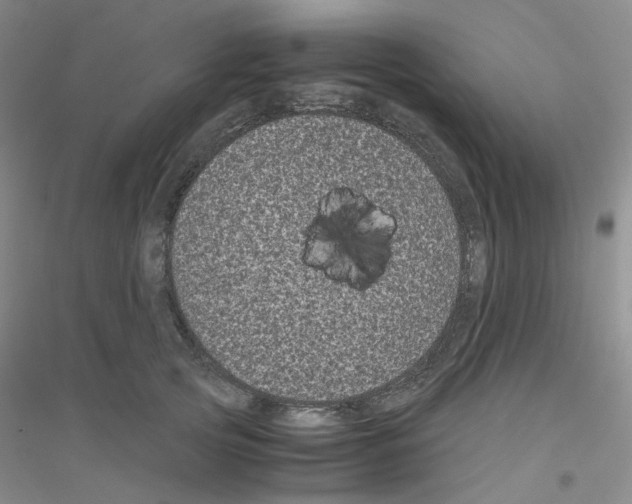 X0000116780753201001281654