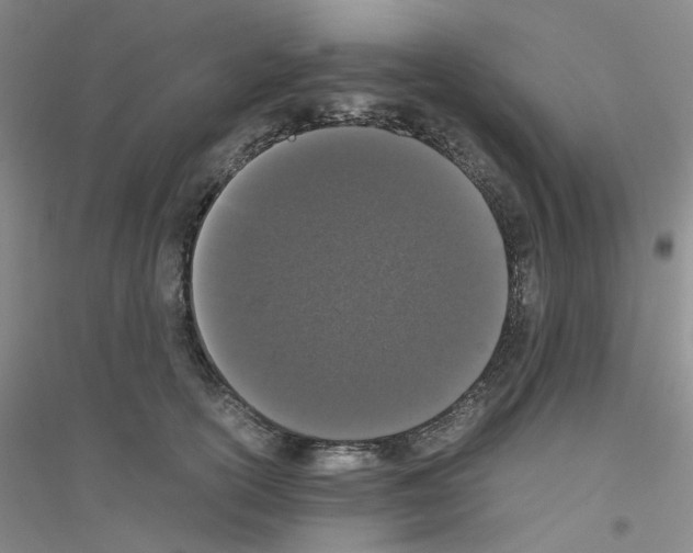 X0000116780754201001281654