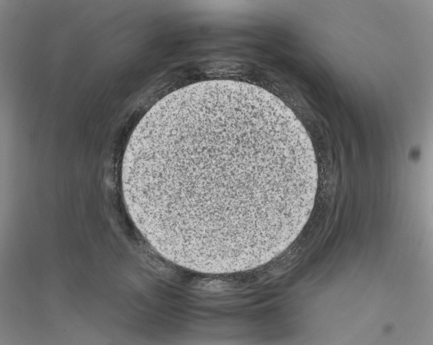 X0000116780755201001281654