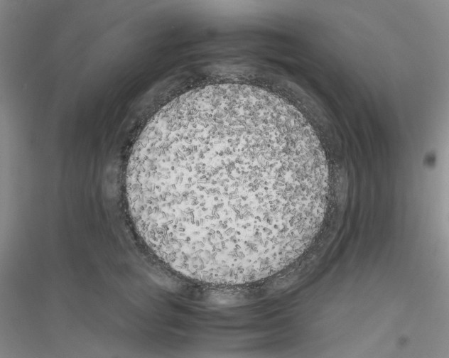 X0000116780757201001281654