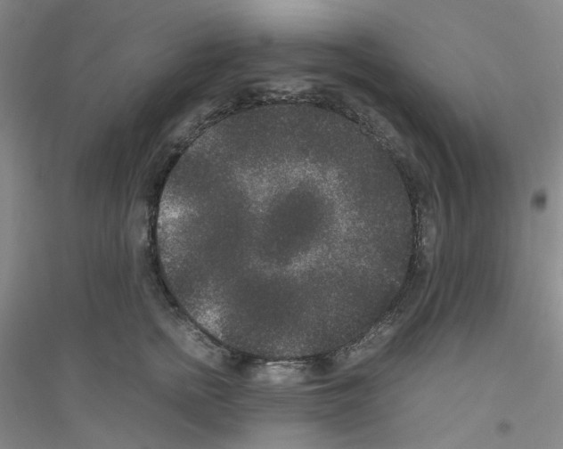 X0000116780758201001281654