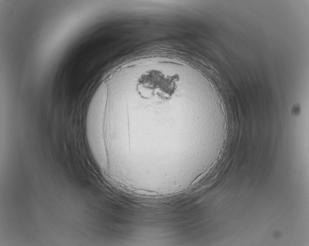 X0000116780762201001281654